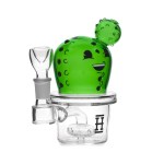 Cactus Feliz - Imagen 5