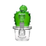Cactus Feliz - Imagen 3